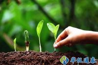 土壤污染日益嚴重 土壤監測儀器滿足市場需求