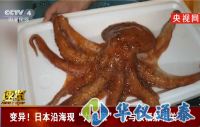 日本沿海現九足章或與核輻射相關