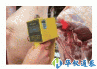 德國MATTHAUS OPTO-STAR肉色測(cè)定儀