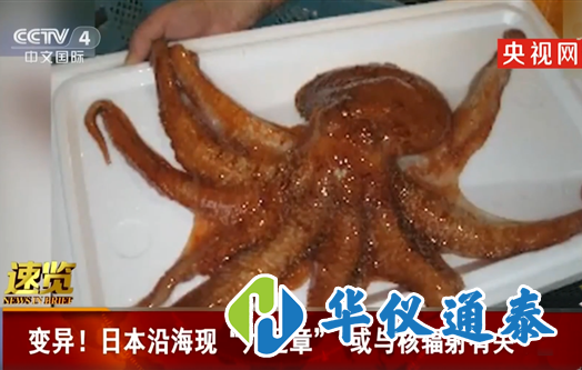 日本沿海現九足章或與核輻射相關.png