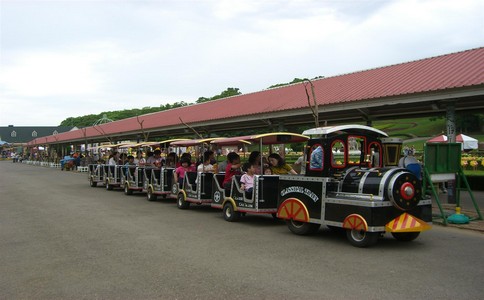 �����Θ�(l��)��(ch��ng)�O(sh��)������(r��n)�ķ���